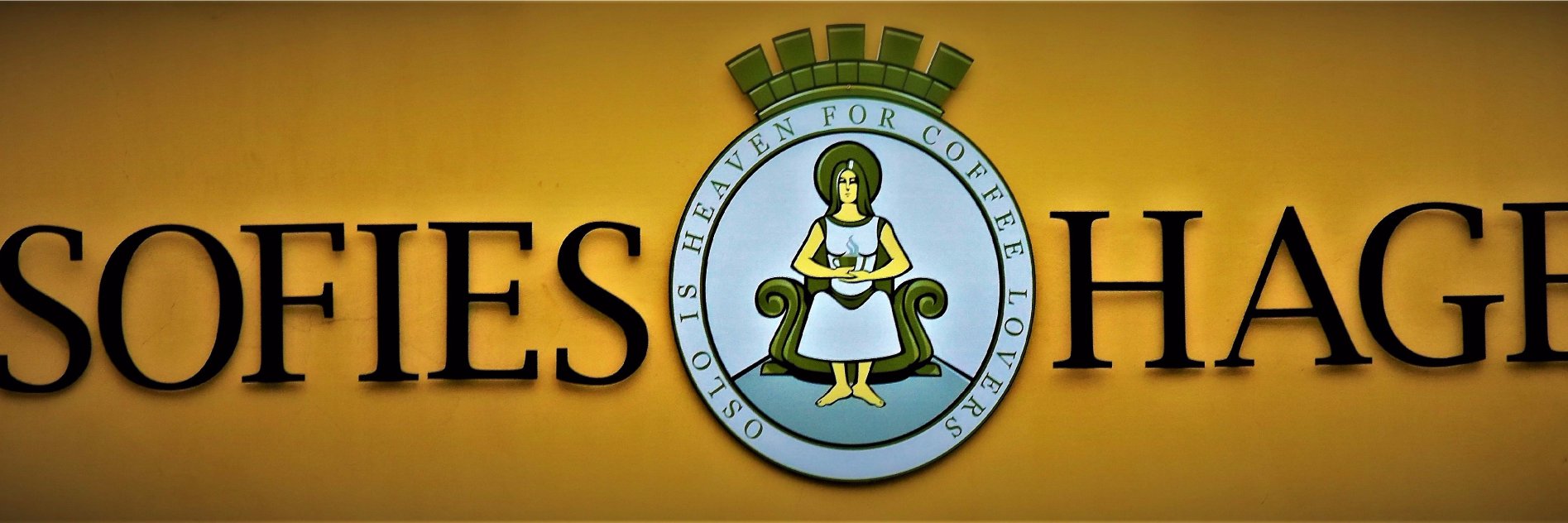 sofieshage's profile banner image