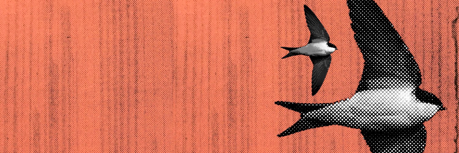 amaulen's profile banner image