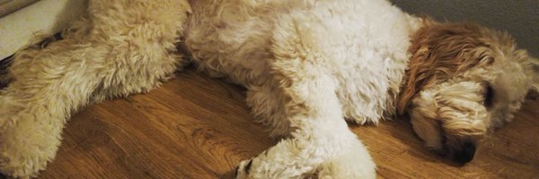 happyNessTeach Profile Banner