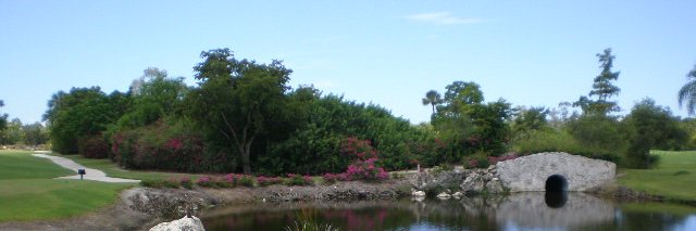 d l - trucker - 2017 KW - @Dmurphyfl banner