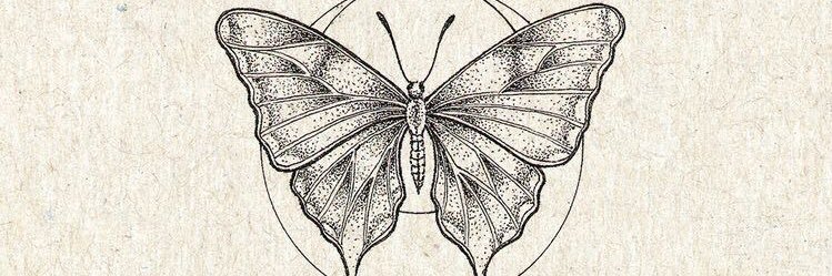 florbblanco's profile banner image