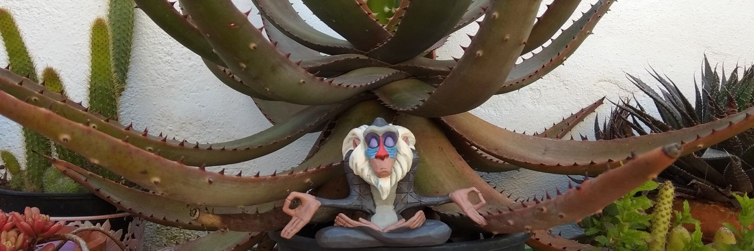 belen2996's profile banner image