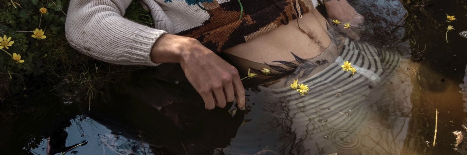 best of harry. banner