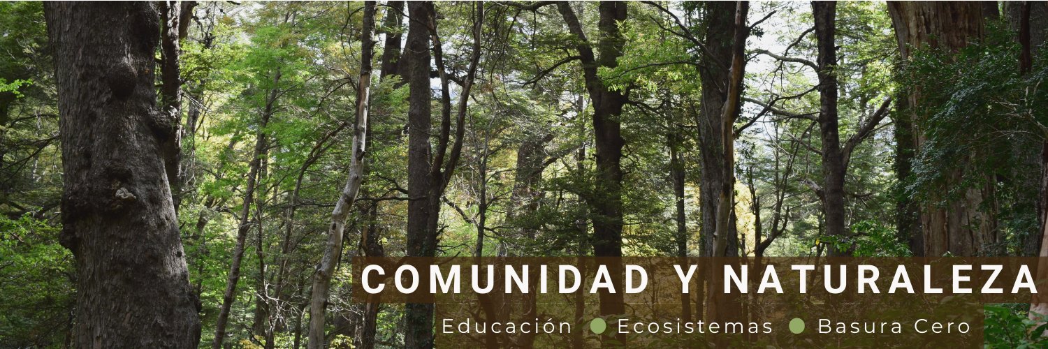 Fundación El Árbol banner