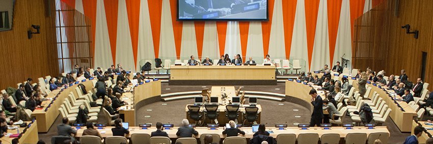 Ahmed Flex Omar banner