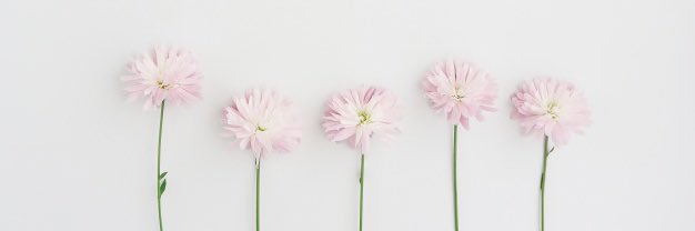 Hayley Rose Porter banner