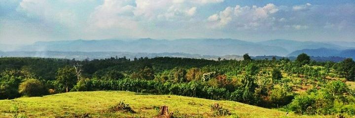 mrfoxkung's profile banner image