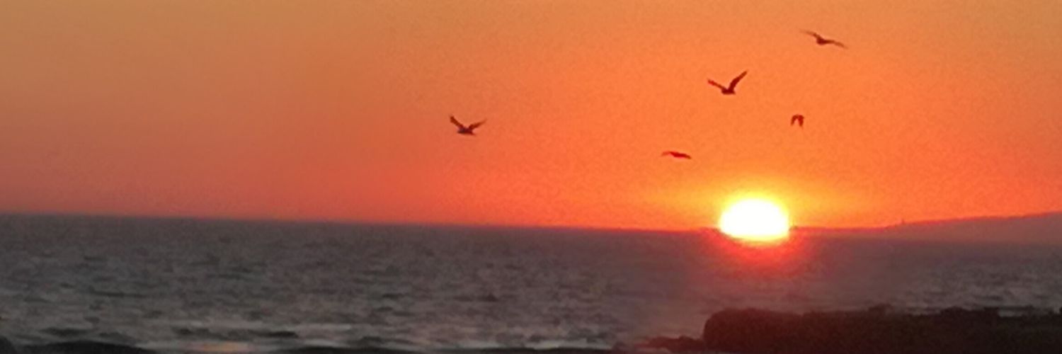 margabohe's profile banner image
