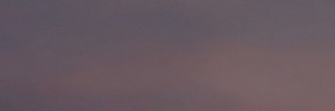 robinos banner
