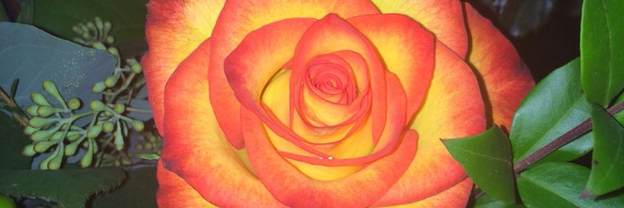 delenn0214's profile banner image