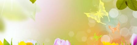 Mellintex's profile banner image