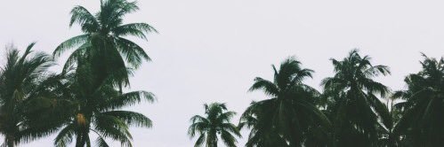 Bubba banner