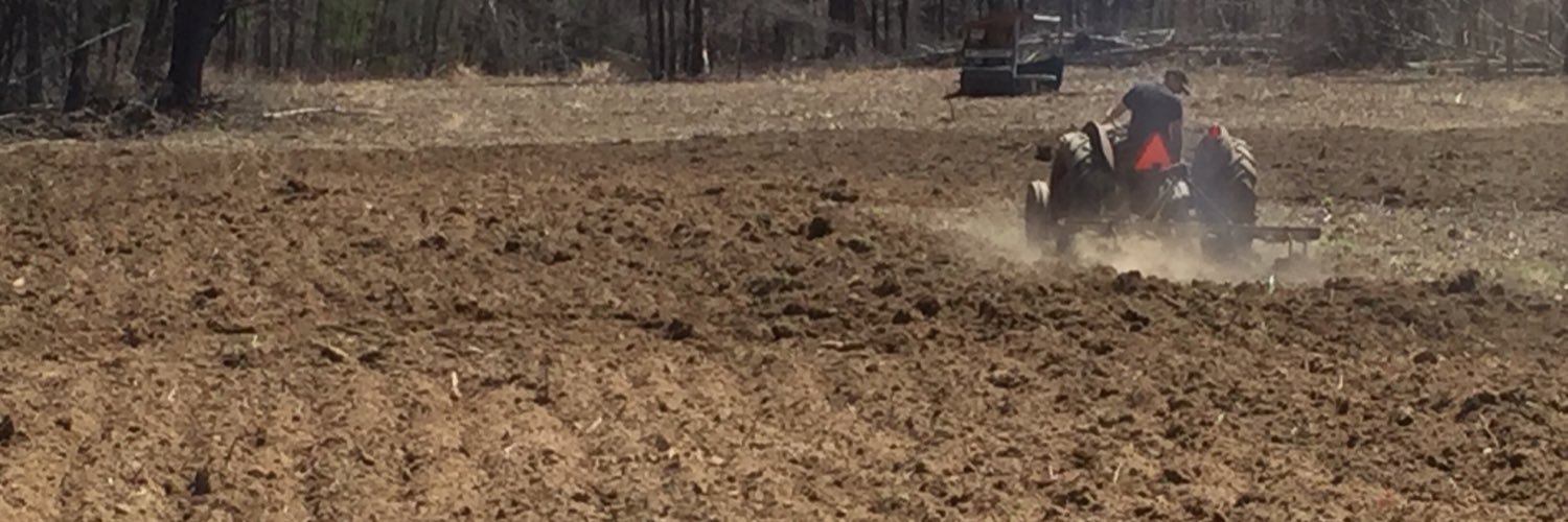 Roots Farm to Table banner
