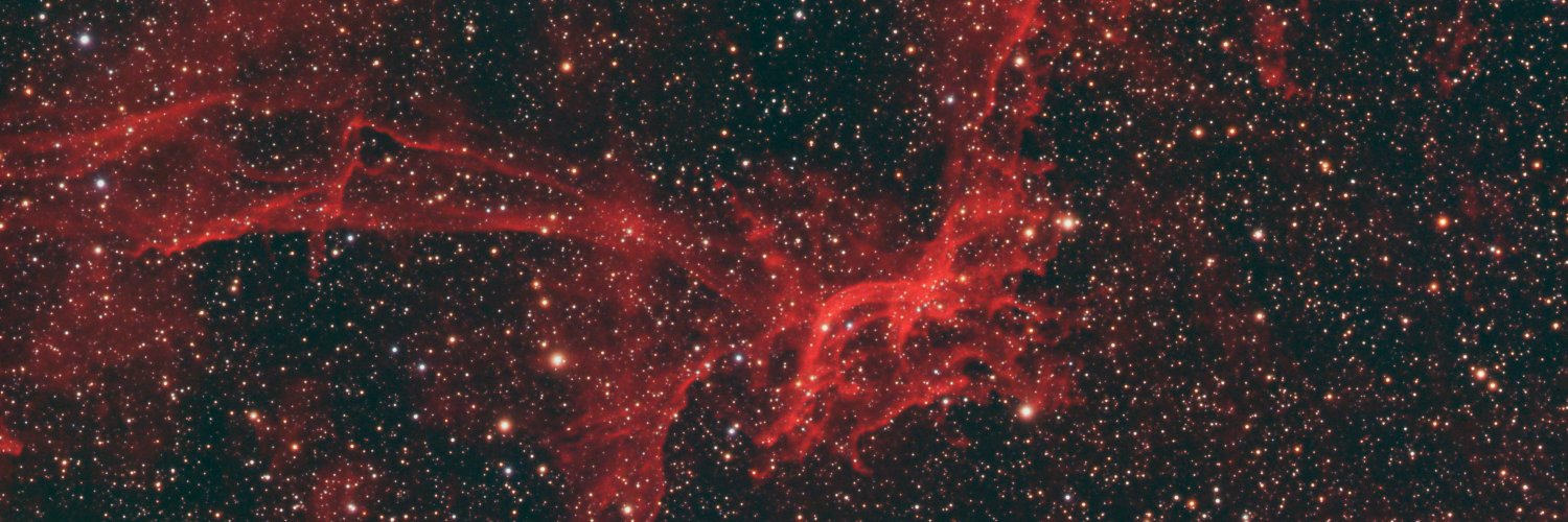 DragonMatt81's profile banner image
