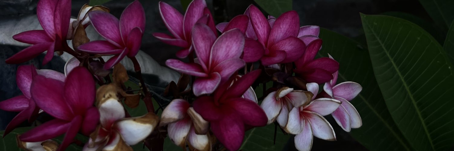marielosst's profile banner image