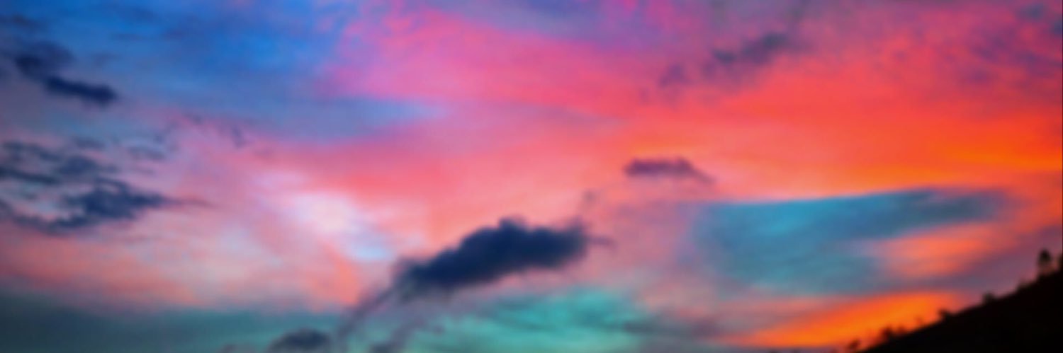 msmoose42's profile banner image