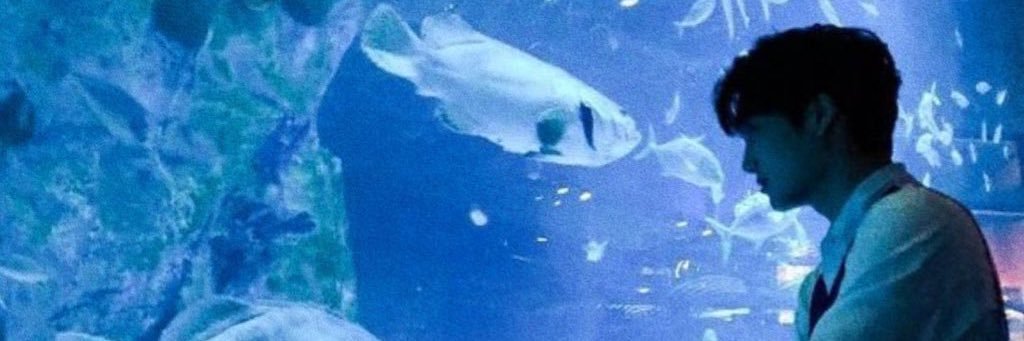tsokobol's profile banner image