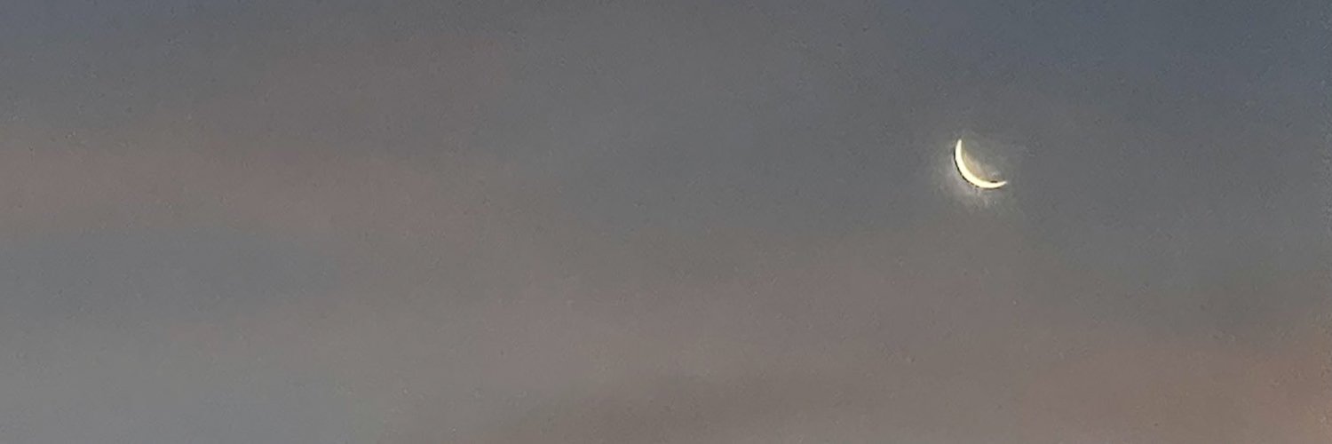 siopamm's profile banner image