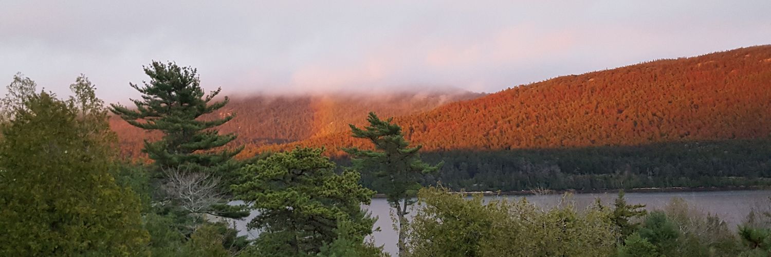 newlyblank's profile banner image