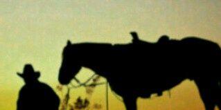LUISRAMONSILVAG's profile banner image