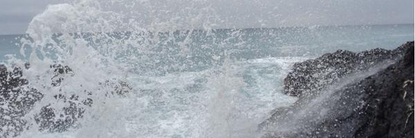 sirdrake Profile Banner