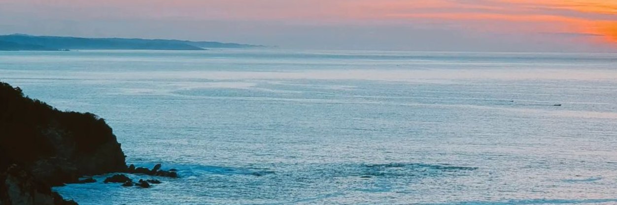 Alejandra Treviño Arias banner