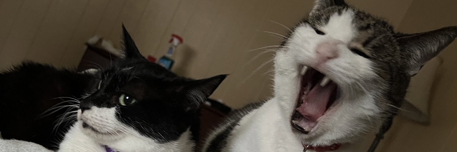 dogjaw14's profile banner image