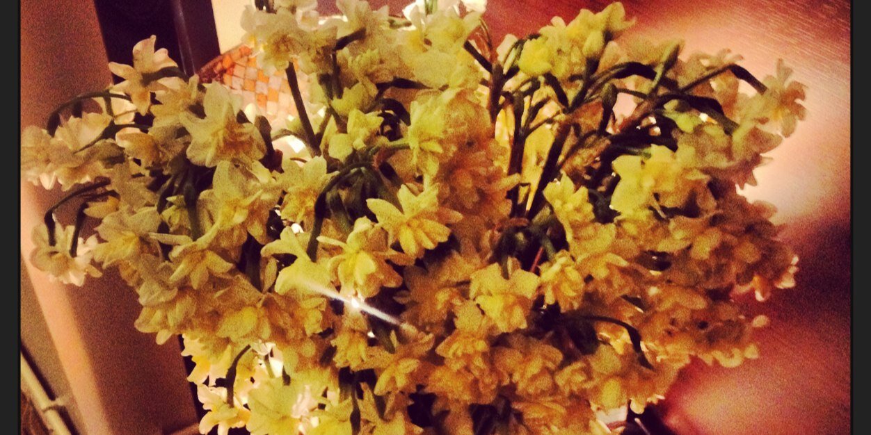 AylinCebeci's profile banner image