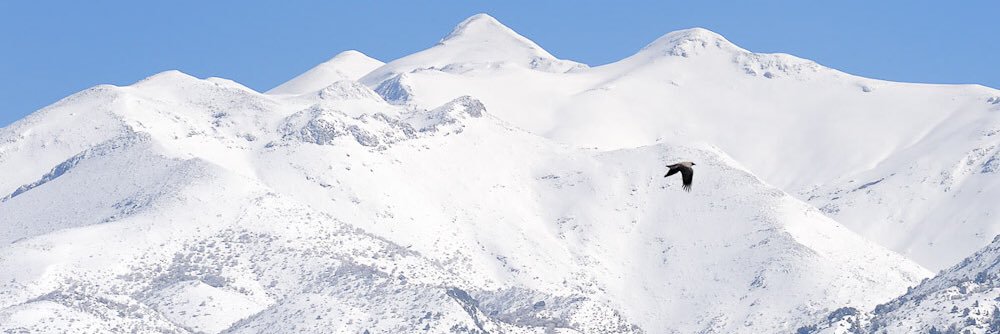 GDimitriadis's banner