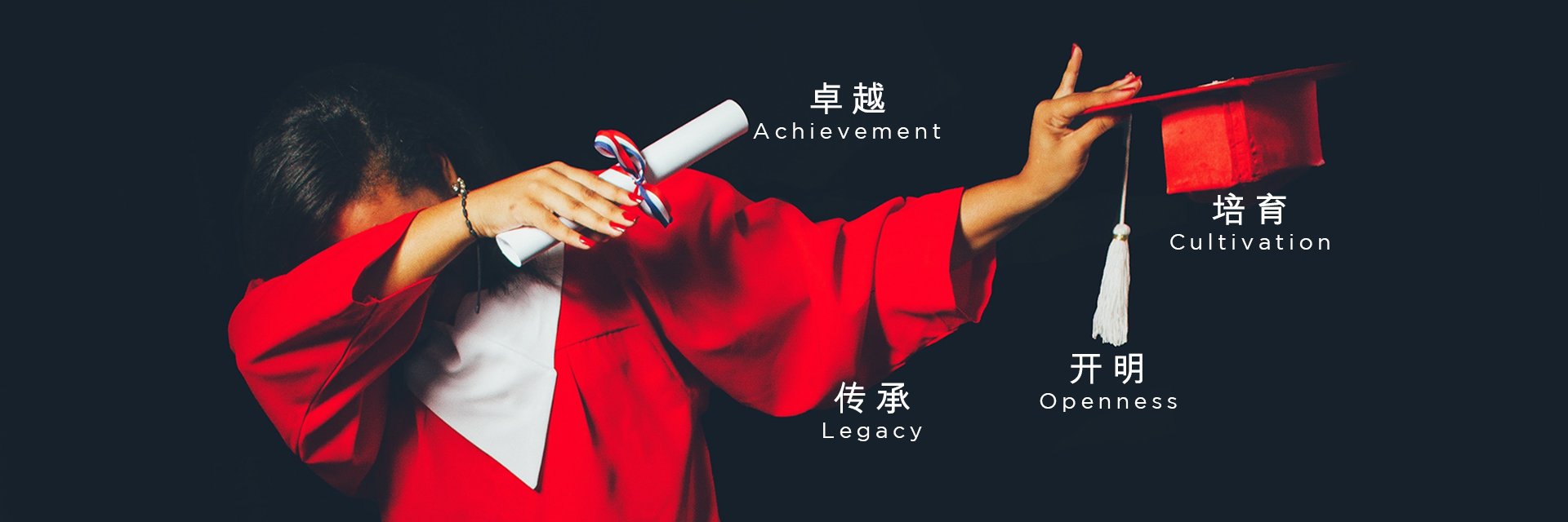 ninisuet's profile banner image
