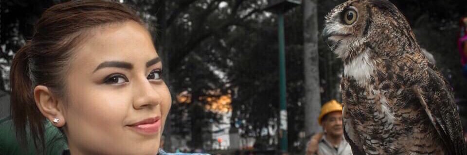 mharboots's profile banner image