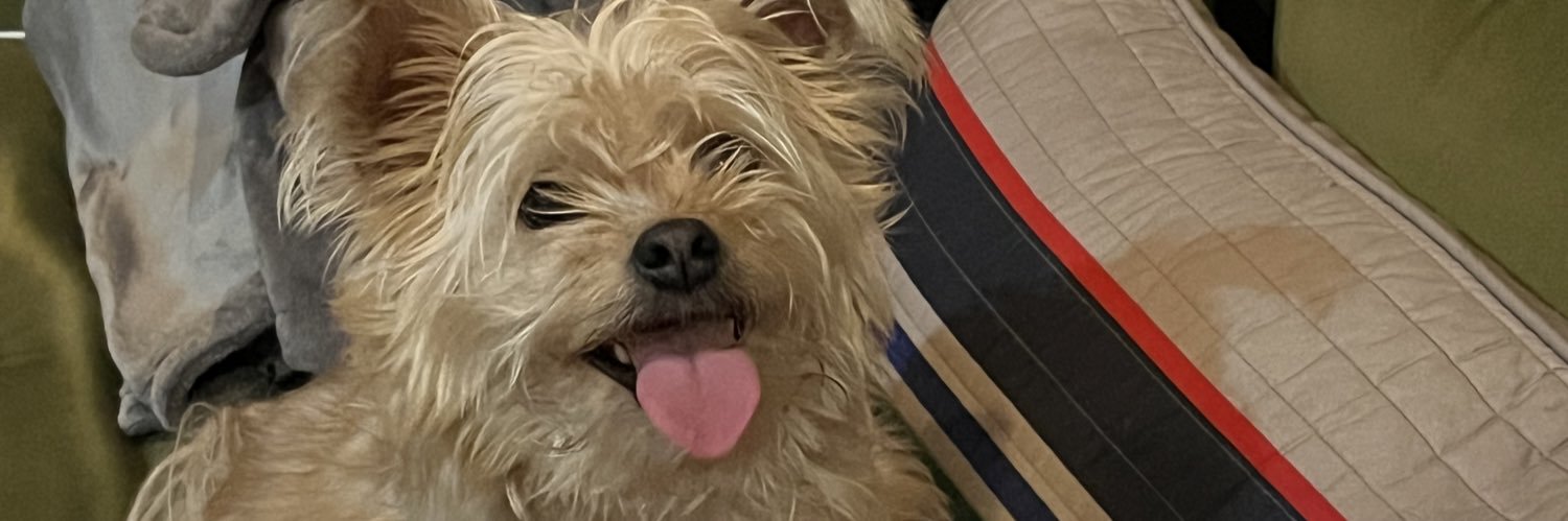 annaham.bsky.social banner