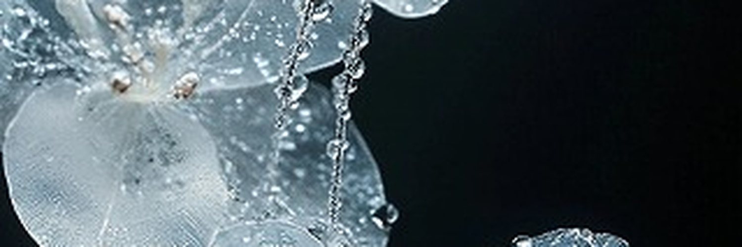 blazed4200's profile banner image