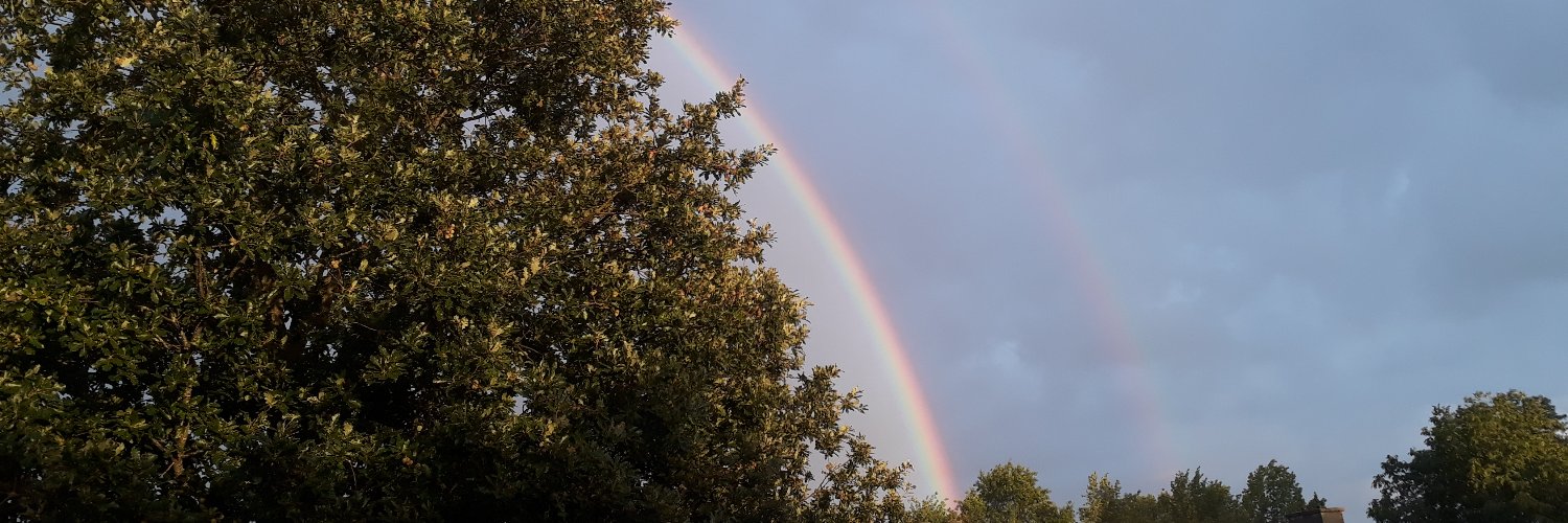 Edwin - Parel van het Zuiden banner