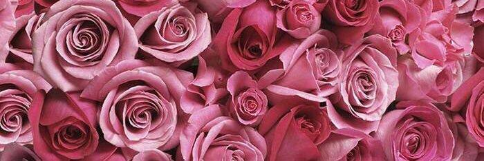 ken313tag__'s profile banner image
