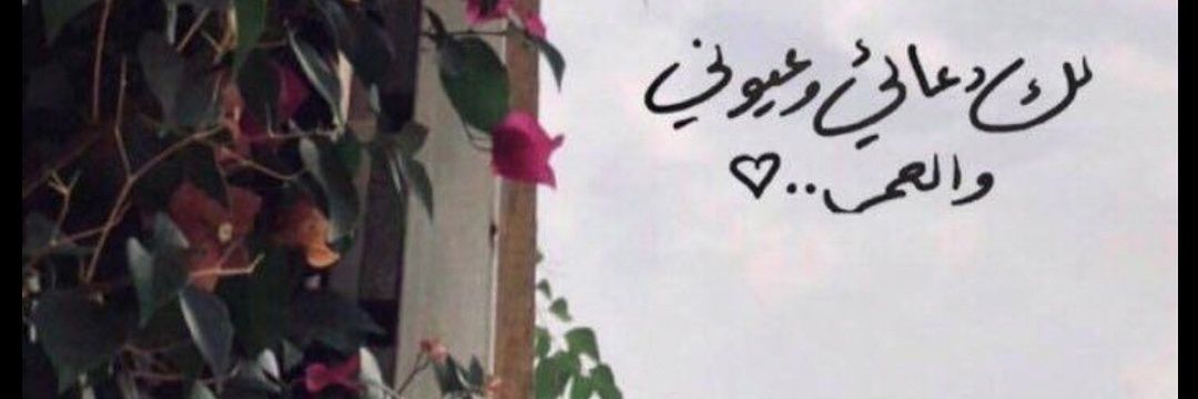 Ashwaq202a's profile banner image