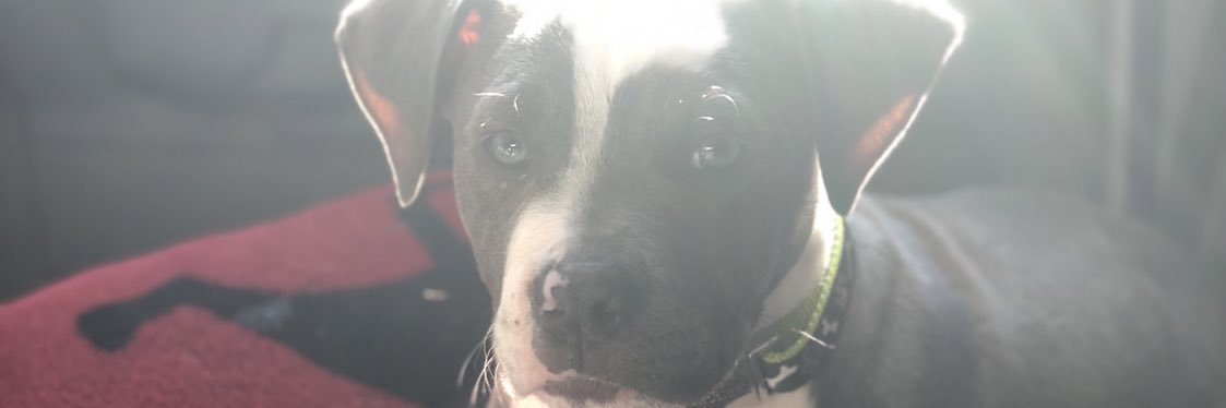 cheroid cosby banner