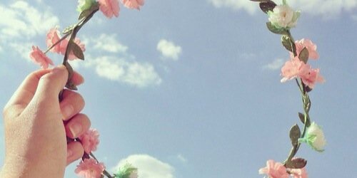 Dlvmiar's profile banner image
