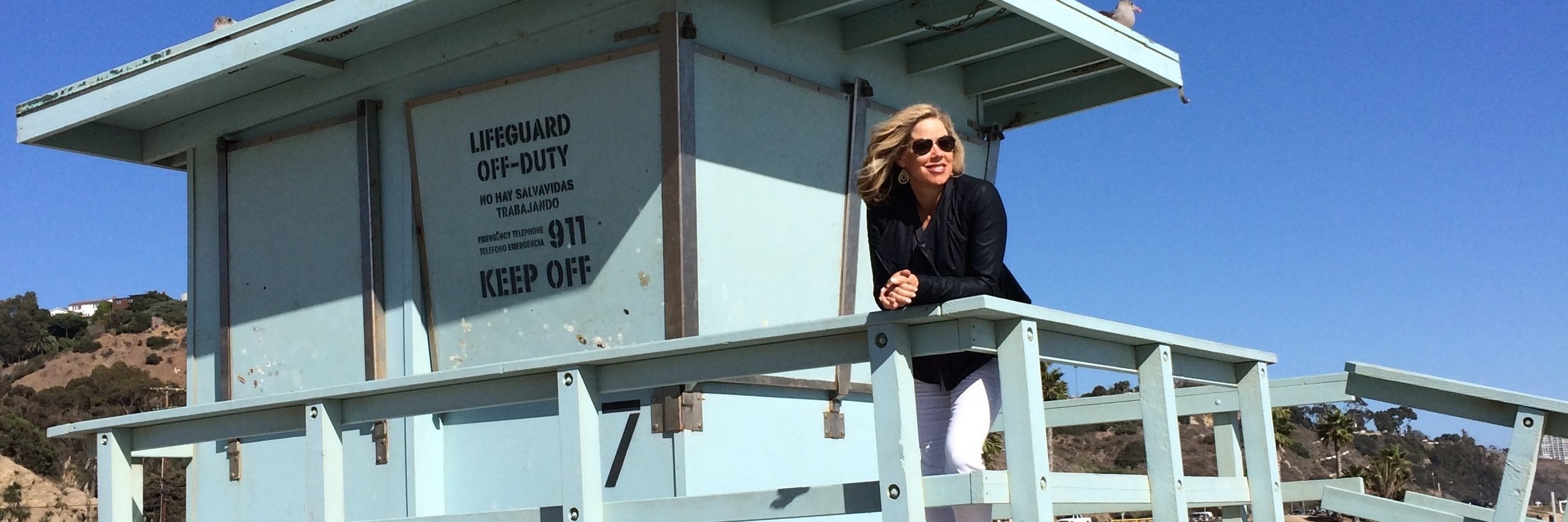 Susan Ferrington banner