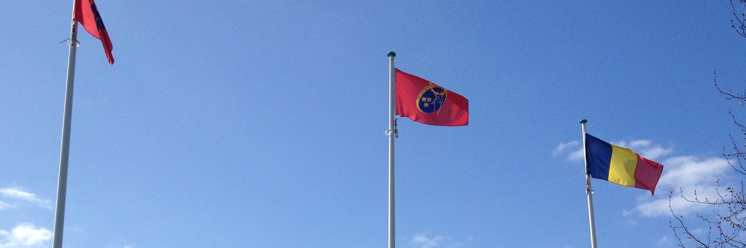 eiro Irish Romanian Cultural & Business Dev. Assoc banner