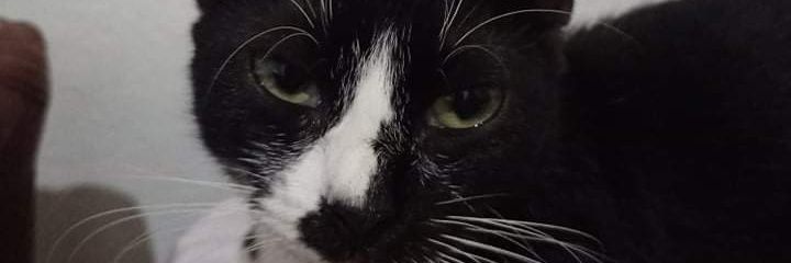 Gabbear98's profile banner image