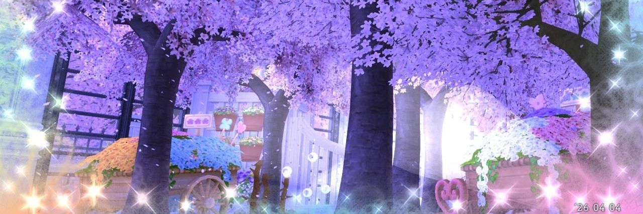 せいな banner