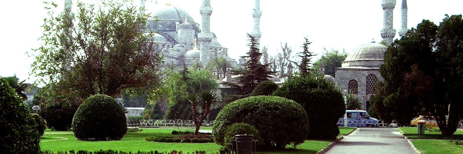 nerminnyildiz's profile banner image