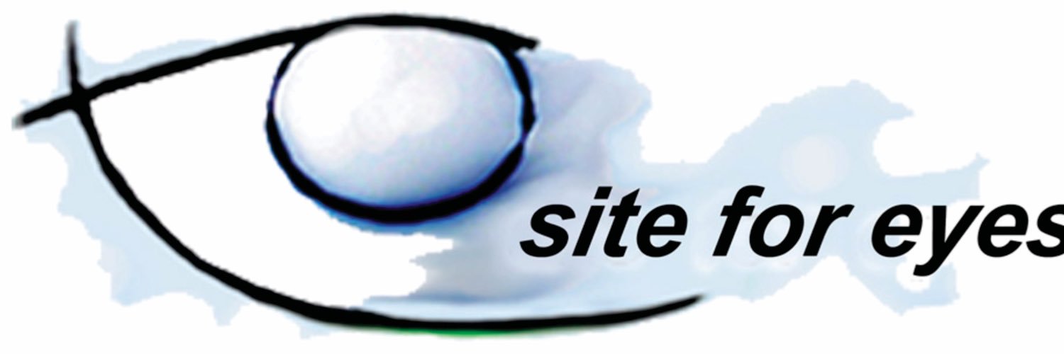 site for eyes banner
