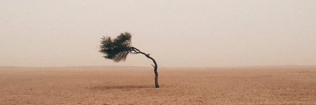 iHani902's profile banner image