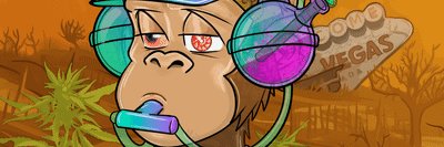 Tinameranda66's profile banner image