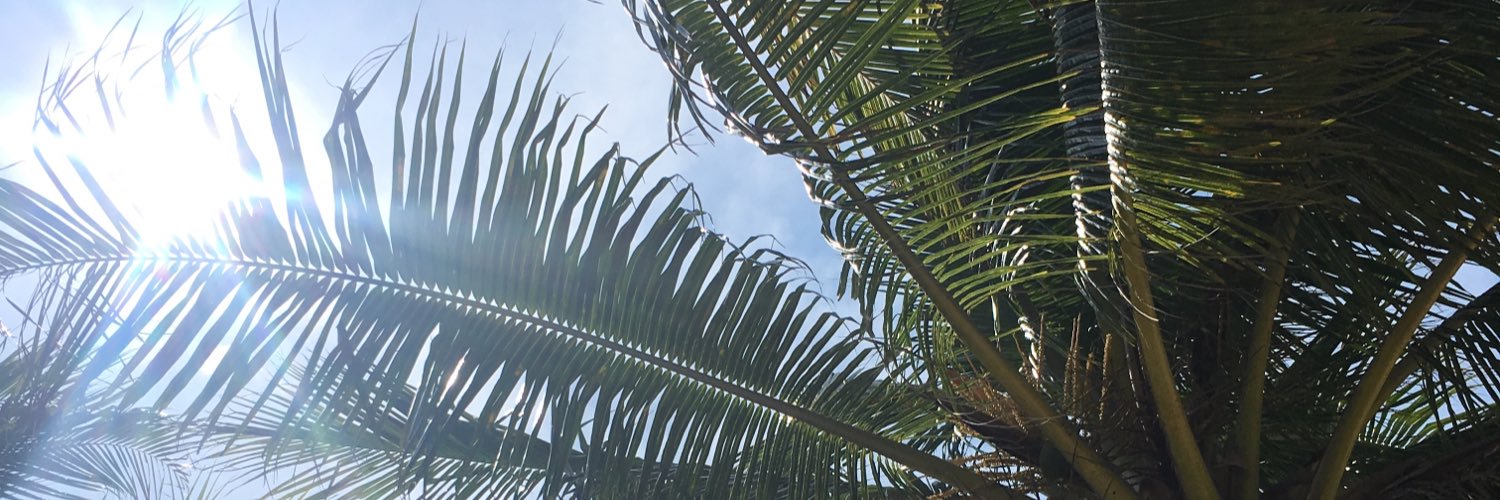hammylx's profile banner image