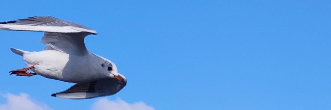 abide102's profile banner image