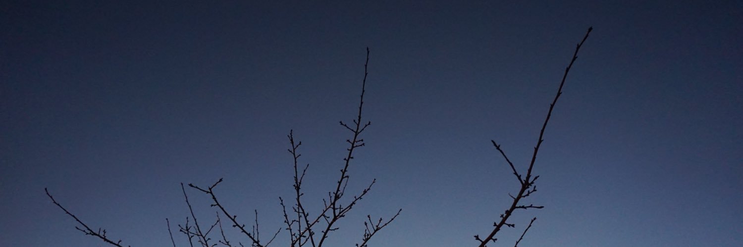 104tyzu's profile banner image