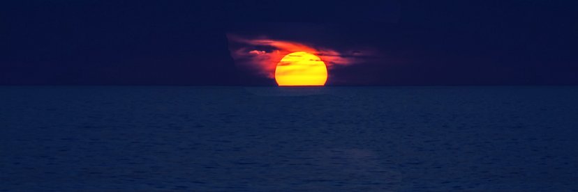 etleboroorg's profile banner image